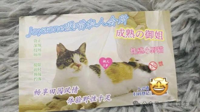 费品从业者的五年创业思考CQ9电子深度 一个新消(图2)