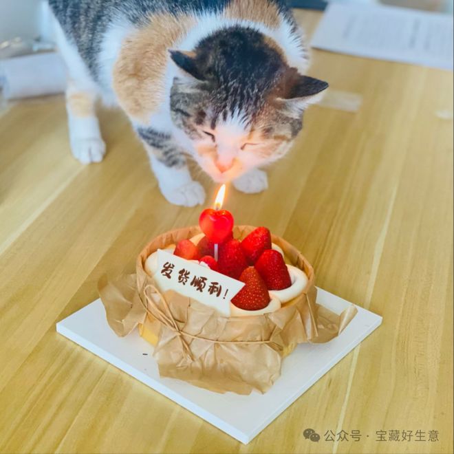 费品从业者的五年创业思考CQ9电子深度 一个新消(图11)