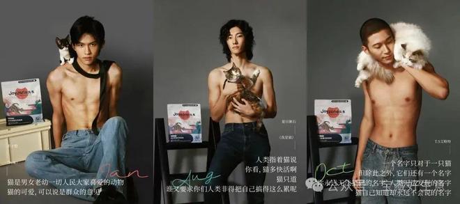 费品从业者的五年创业思考CQ9电子深度 一个新消(图12)