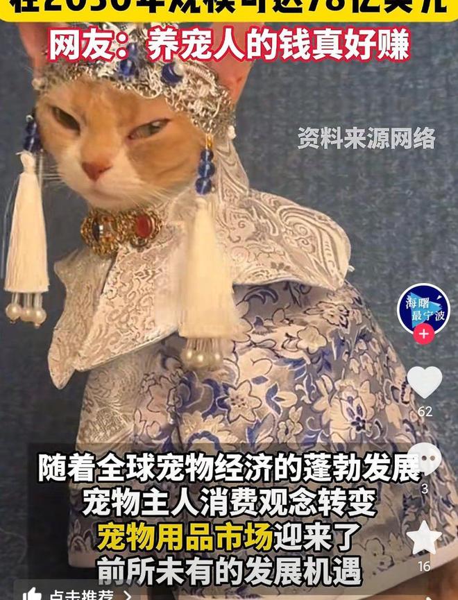 婴幼儿奶粉2倍！网友：活的猫狗还不如CQ9电子猫狗一年消费3000亿是