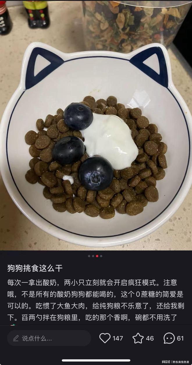 ”撬动萌宠经济与母婴信任双赛道CQ9电子简爱酸奶以“纯净配方(图1)